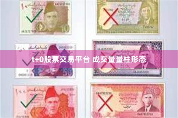 t+0股票交易平台 成交量量柱形态