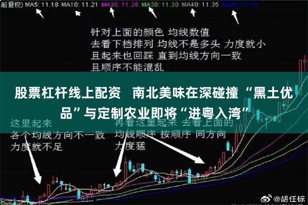 股票杠杆线上配资   南北美味在深碰撞 “黑土优品”与定制农业即将“进粤入湾”