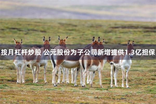 按月杠杆炒股 公元股份为子公司新增提供1.3亿担保