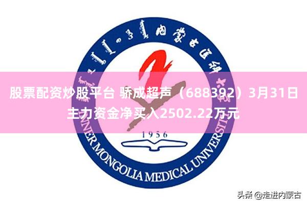 股票配资炒股平台 骄成超声（688392）3月31日主力资金净买入2502.22万元