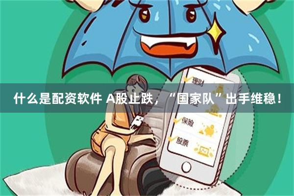 什么是配资软件 A股止跌，“国家队”出手维稳！
