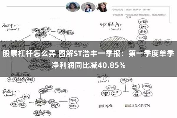 股票杠杆怎么弄 图解ST浩丰一季报：第一季度单季净利润同比减40.85%