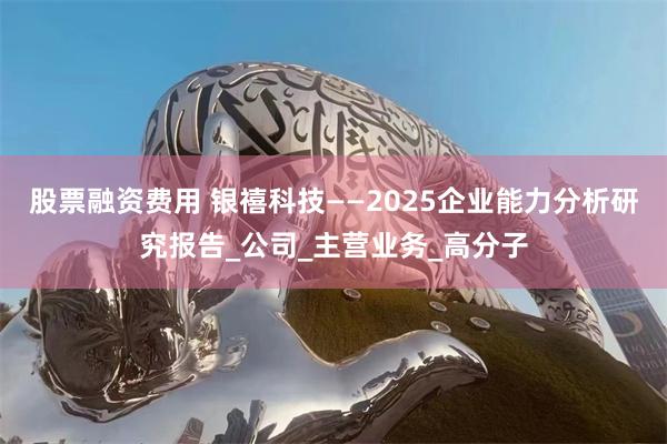 股票融资费用 银禧科技——2025企业能力分析研究报告_公司_主营业务_高分子