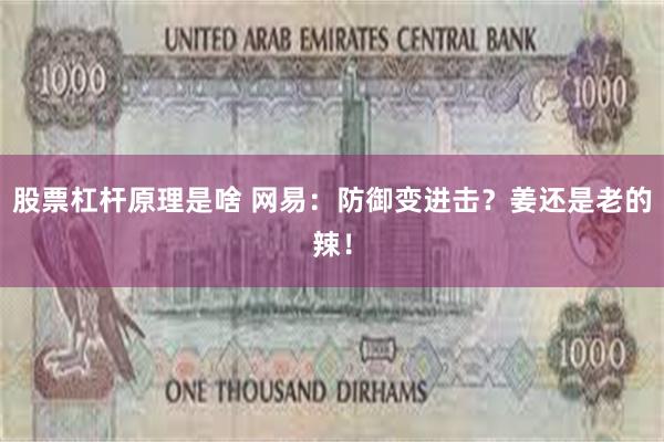 股票杠杆原理是啥 网易：防御变进击？姜还是老的辣！
