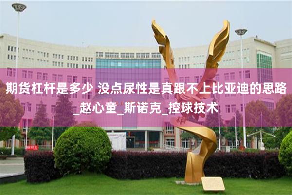 期货杠杆是多少 没点尿性是真跟不上比亚迪的思路_赵心童_斯诺克_控球技术