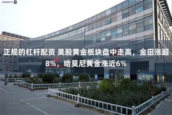 正规的杠杆配资 美股黄金板块盘中走高，金田涨超8%，哈莫尼黄金涨近6%