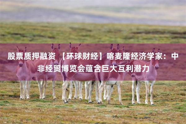 股票质押融资 【环球财经】喀麦隆经济学家：中非经贸博览会蕴含巨大互利潜力