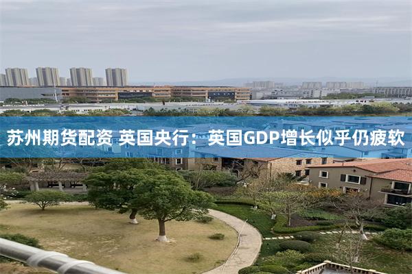 苏州期货配资 英国央行：英国GDP增长似乎仍疲软