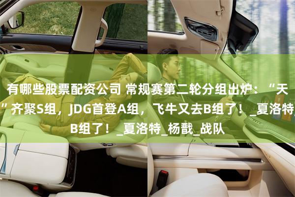有哪些股票配资公司 常规赛第二轮分组出炉：“天狼星，红祖”齐聚S组，JDG首登A组，飞牛又去B组了！_夏洛特_杨戬_战队