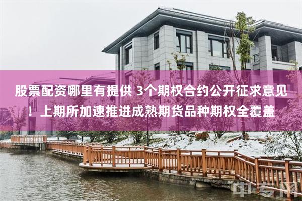股票配资哪里有提供 3个期权合约公开征求意见！上期所加速推进成熟期货品种期权全覆盖