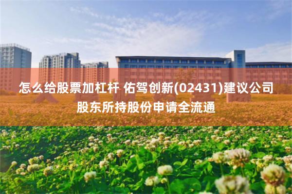 怎么给股票加杠杆 佑驾创新(02431)建议公司股东所持股份申请全流通