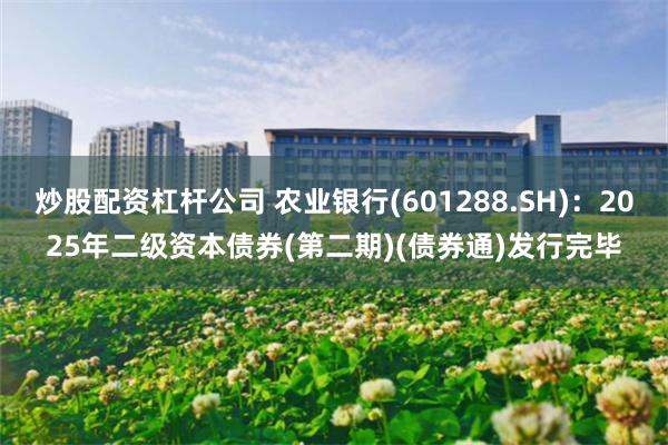 炒股配资杠杆公司 农业银行(601288.SH)：2025年二级资本债券(第二期)(债券通)发行完毕