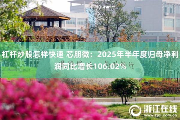 杠杆炒股怎样快速 芯朋微：2025年半年度归母净利润同比增长106.02%