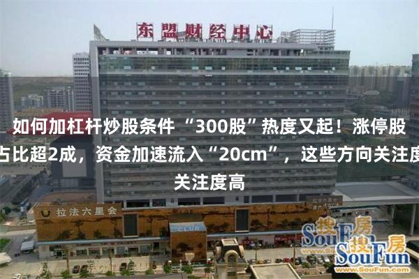 如何加杠杆炒股条件 “300股”热度又起！涨停股中占比超2成，资金加速流入“20cm”，这些方向关注度高