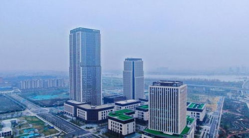 揚州生態(tài)科技新城三項目入選省重點清單，以軟件驅(qū)動“兩業(yè)融合”新篇章